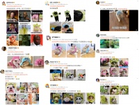 名创优品造了一场宠物COS大秀？