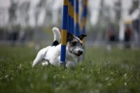 县域第一次！这项全国大赛将在绩溪开赛