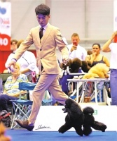 因为爱，他带着狗狗拿下“世界冠军”