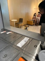 实现携宠逛街吃饭自由，深圳宠物友好专区受欢迎