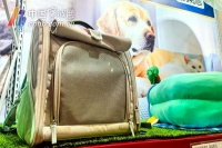 “它经济”消费趋热！宠物出游自由还有多远？