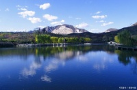 与心爱宠物同游天下：分享我与爱犬小金一起旅行的心得