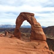 上海上海摸摸乐萌宠园室内动物园游玩攻略