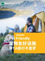 一次完美的狗生之旅，靠你了！