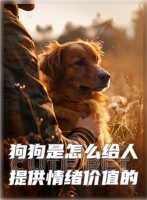 狗狗如何改善主人的心理健康？