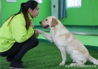 北京宠物培训学校