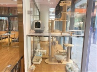 梦想开家宠物店？别错过这篇狗粮进货渠道攻略！