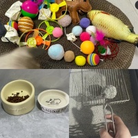 在家中养猫和狗时，有哪些特别的清洁和卫生措施需要采取？