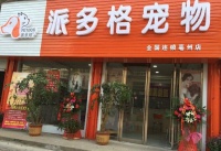 宠物美容店的服务项目大盘点：开启你的创业之路！
