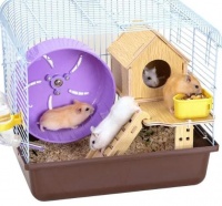 仓鼠的小豪宅，你的大惊喜！26.90元起豪华双层别墅！