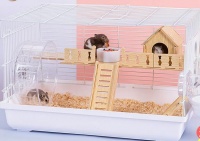 探秘仓鼠乐园！洁西专用笼，打造宽敞舒适的金丝熊别墅！