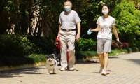 遛宠物礼仪
