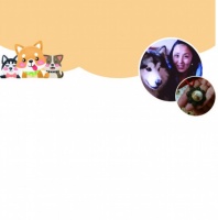 苏州80后“宠物善后礼仪师”：每一个生命都应该被善待