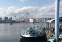 在日本公寓里养宠物狗的最低限度礼仪