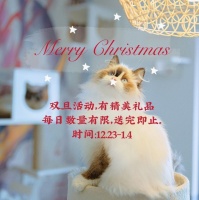 【BABIT巴比特宠物俱乐部(MOMOPARK店)】BABIT巴比特宠物俱乐部(MOMOPARK店)电话，BABIT巴比特宠物俱乐部(MOMOPARK店)地址