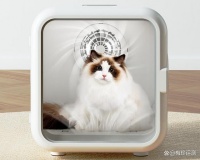 宠物烘干机哪个品牌性价比高？盘点推荐，让宠物护理变得轻松愉快