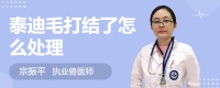泰迪毛打结了怎么处理
