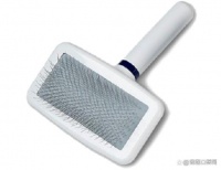 宠物护理之宠物开结