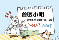 网红家用宠物烘干箱可以解放铲屎官的双手？产品实测，效果堪忧