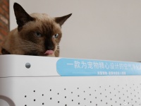 终于找到一台配得上咱怀里这只猫的空气净化器