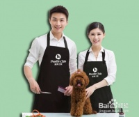 如何成为一名合格的宠物美容师