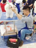 【图片】关于宠物美容师证书，你需要知道的那些事儿～#宠物美容师#【成都宠物美容吧】