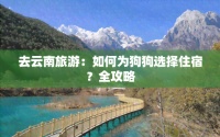 去云南旅游：如何为狗狗选择住宿？全攻略