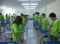 宠物美容课程都有什么