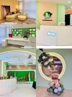 宠物美容B级培训课程