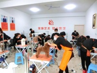 学个宠物美容师大概要多久呢