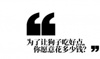 168元一份宠物餐厅套餐，你愿意花钱吗？