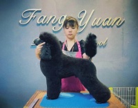 福州方圆宠物美容培训学校学校简介