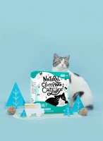 宠物护理产品需求旺盛，「Cature小壳」以研发技术为根本打造国产宠物护理品牌