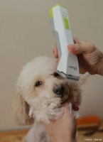 中国宠物护理产品市场规模及未来发展趋势