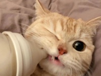 曝光！价格588元到1288元的洁牙套餐，区别到底在哪里？