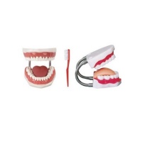 EBiSU惠百施健齿良策超先细软毛牙刷