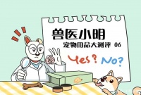 测评：狗狗牙齿上有牙菌斑，什么样的洁牙产品有效呢？