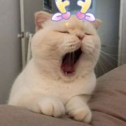 @宠物用品优惠券合集 的个人主页