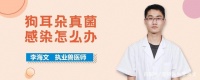 狗耳朵真菌感染怎么办
