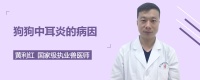 狗狗中耳炎的病因