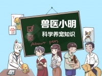 狗狗在地上蹭屁屁很奇怪？别忙着笑，很有可能是肛门腺发炎了