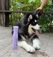 家里到处都是家里宠物的毛毛怎么办?有什么轻松处理毛发的方法？