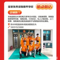 南京二十年宠物训练行为纠正学校 训犬训狗狗狗培训基地