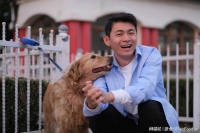 泪目警告：狗狗慢慢变老，你该知道的事01