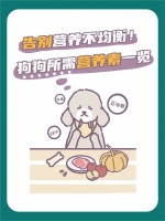 告别营养不均衡！狗狗所需营养素一览