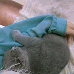 爱宠总动员犬粮 ，营养均衡，科学配方,出口国外，注重性价比有些狗主人在给狗狗吃狗粮的同时还给狗狗吃肉类【无锡宠物吧】