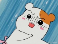 宠物肥胖的危害！太吓人了！看得我都想减肥了！