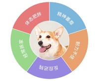 野小兽宠物跑步机，无限循环跑，根本停不下来！ 四种运动模式，每日一跑爰加倍宠入微！