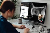 2024 年及以后宠物保健的五大新兴趋势