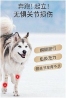 猫狗用关节类营养品中的软骨素和氨糖是什么，能长期服用么？